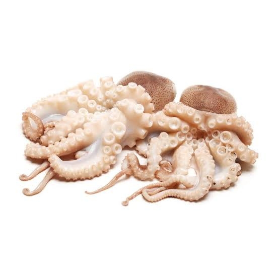 Octopus